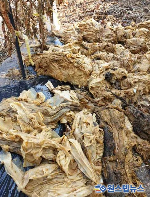 하수관로 막힘은 무심코 버린 물티슈, 안산시