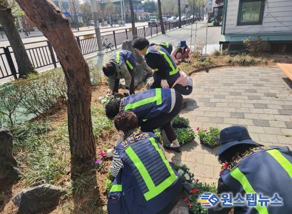 고양시 백석1동, 초화 식재⋯꽃향기 가득한 마을
