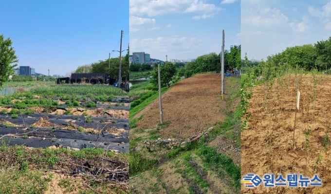 석수동 충훈대교 인근 시유지 복원 사진(왼쪽부터 철거전_철거후_무궁화 식재후)