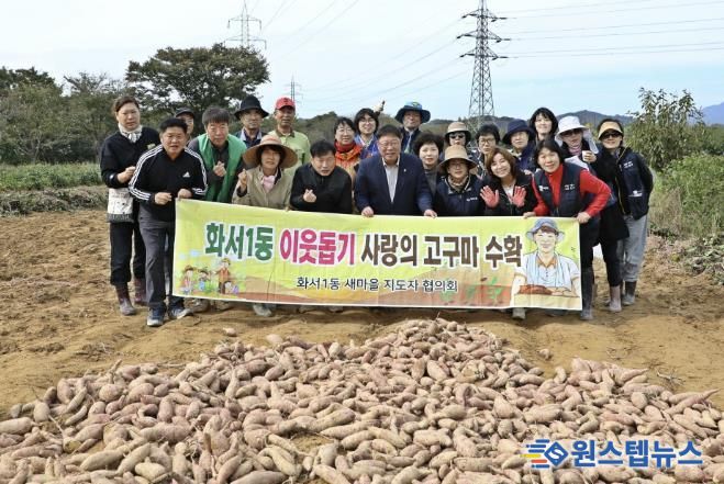 수원시 팔달구 화서1동 새마을지도자협의회, '2025 사랑의 고구마 수확 행사' 진행