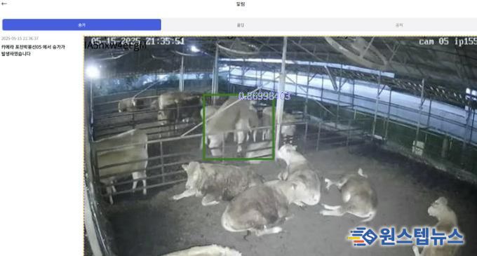 포천시, 인공지능(AI) 기반 한우 스마트팜 번식관리 시스템 본격 가동