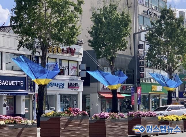 여주시, 은행나무 열매 악취 STOP!