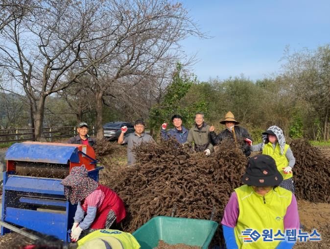 양평군 개군면 지역사회보장협의체, 사랑 애(愛) 농산물 들깨 탈곡 실시