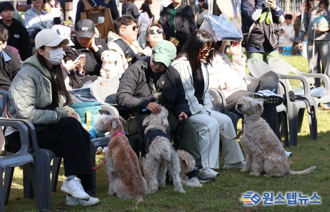 여러 종의 애견들이 주인들과 함께 휴식을 취하고 있다.