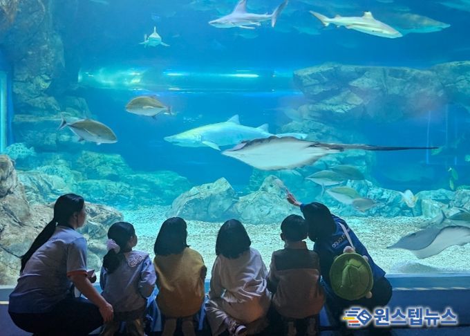 “하루에 바다를 다 체험할지니”수원 E:음 거점형 늘봄센터, 아쿠아플라넷 광교에서 해양생태 탐구 체험 운영