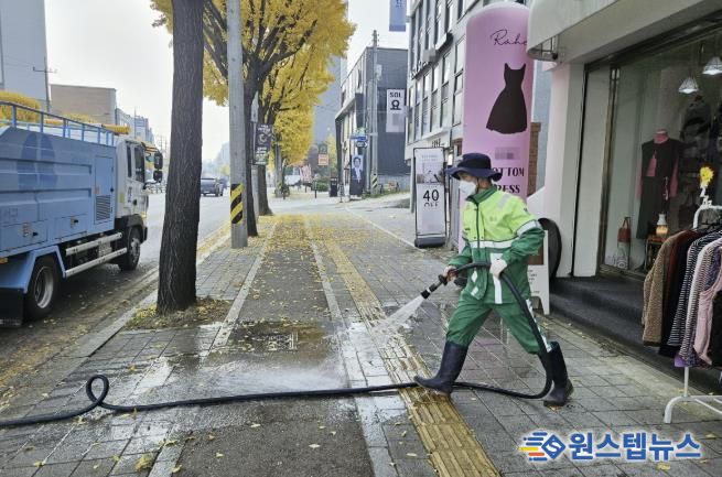 수원시 권선구, 가을철 은행나무 악취 해결에 나섰다!