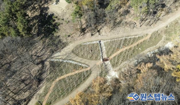 용인특례시가 수지구 죽전동에 조성한 '도시 숲' 모습