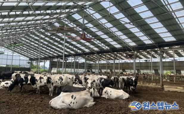 2025년 낙농육우산업 경쟁력 강화사업으로 대형환풍기 설비를 지원받은 축산농가 모습