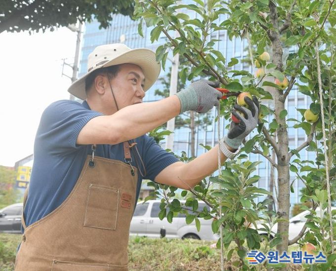 감사나무심기첫수확행사