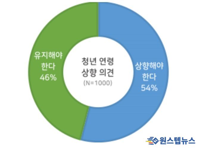 청년 연령 기준 상향 의견