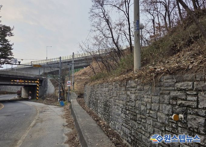 남양주시, 양정동 도심 가시박 제거로 생태환경 개선(제거 후)