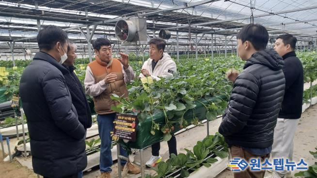 광주시, 딸기연구회 농가 대상 맞춤형 현장 자문 실시