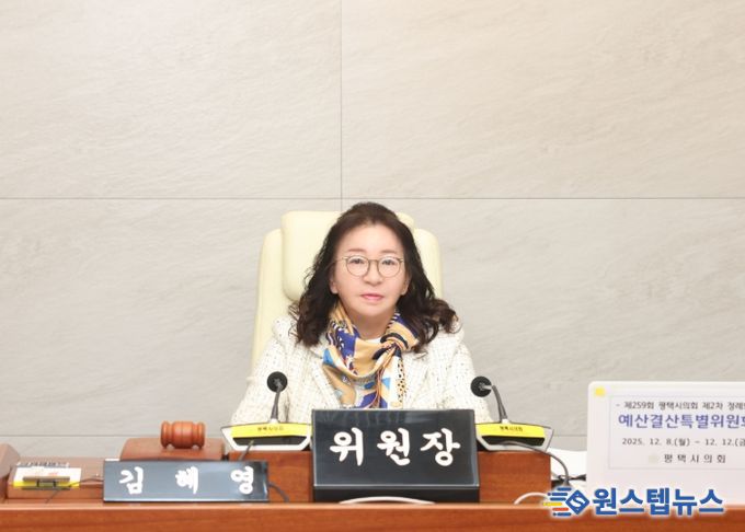 김혜영 예산결산특별위원장