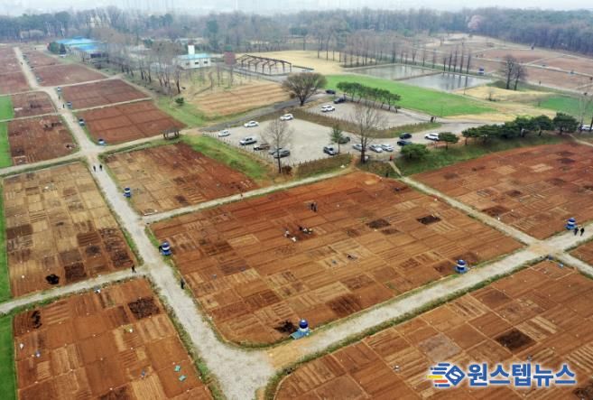 탑동 시민농장 텃밭