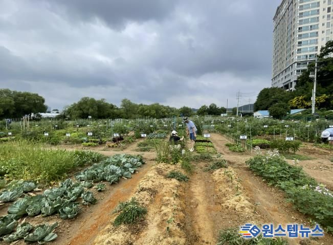 용인특례시는 오는 2월 3일부터 13일까지 용인시민농장에서 텃밭을 가꿀 도시농부 총 815팀을 모집한다