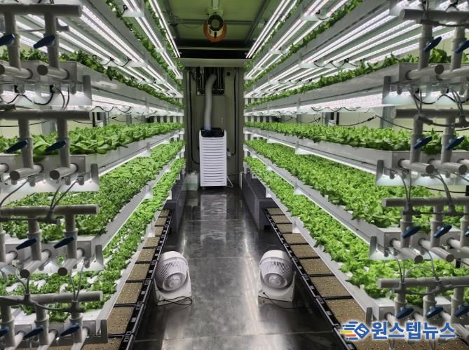 테이너형 수직농장 내부