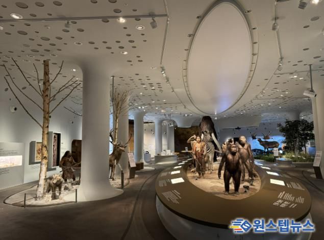 경기문화재단 전곡선사박물관, 상설전시실 전면 개편…42cm '초대형 주먹찌르개' 최초 공개