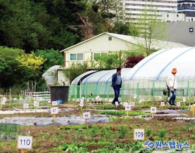 과천시 주말농장 모습