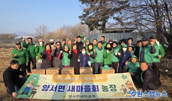 양서면 새마을회 감자심기 행사