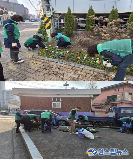 평택시 통복동 새봄맞이 봄꽃 식재