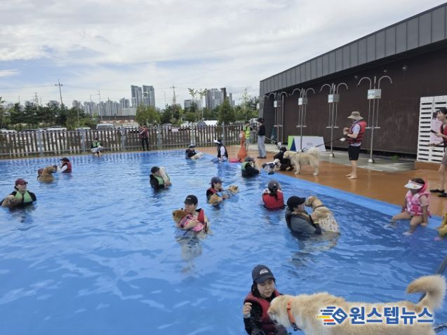 시흥시 월곶에코피아 수영장에서 반려동물 수영 문화교실 ‘멍푸멍푸’가 열리고 있다.