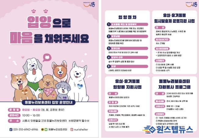 반려동물 입양 홍보 전단