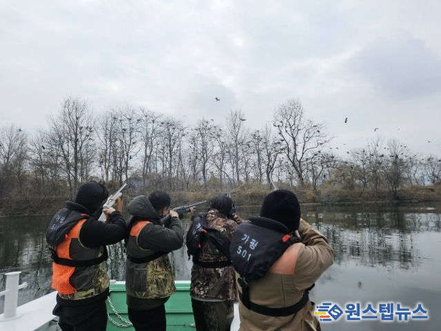 가평군, 북한강 민물가마우지 집중 포획 나선다