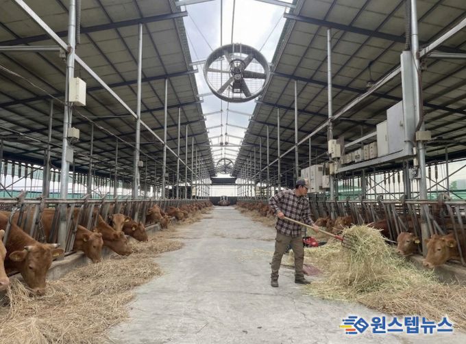 안성시, 2026년 상반기 사료구매 정책자금 지원사업 신청 접수