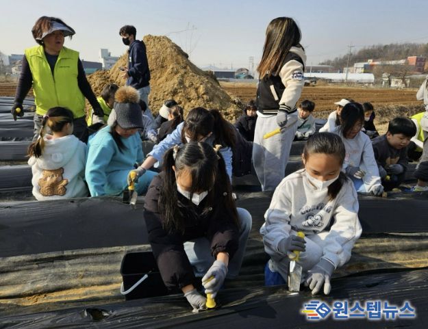 시흥시 신현동 주민자치회, 초등학생 대상 감자 심기 체험 운영