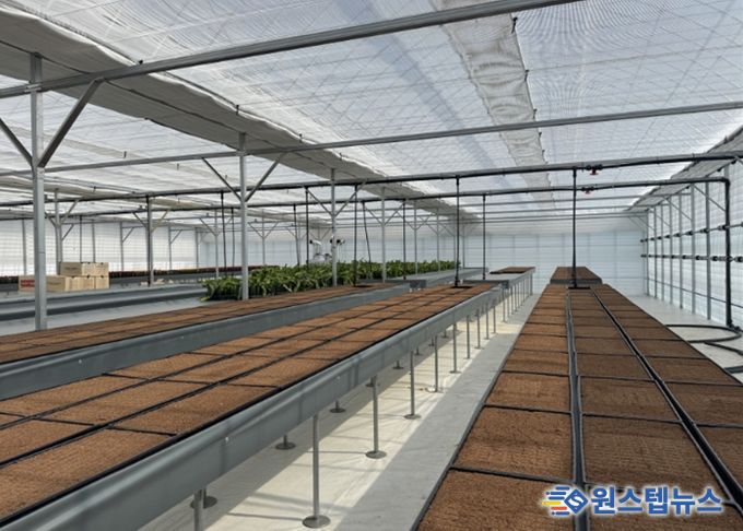 고양시, 고품질 선인장 육성 목적 ‘접목선인장 무병종묘장’ 조성