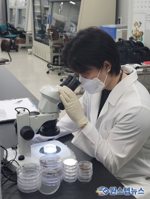 경기도, 일본뇌염·뎅기열 매개모기 감시사업 추진