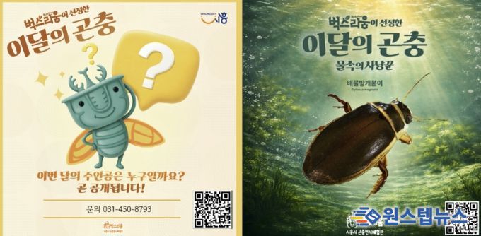 곤충전시체험관 벅스리움, 5일부터 신규 전시 '이달의 곤충' 운영