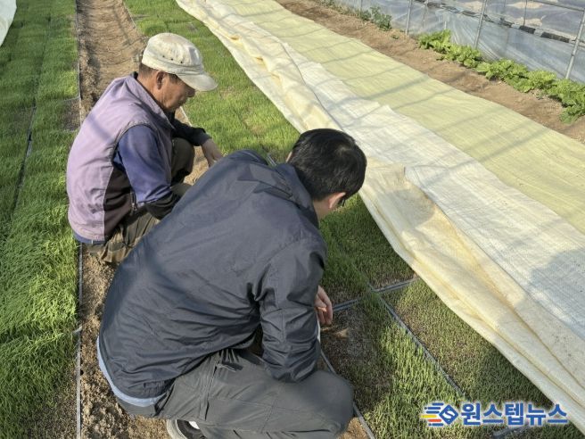 포천시농업기술센터, 벼 발아율 저하 대비 안전육묘 현장기술지원 강화
